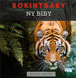 Bokintsary - ny biby - imagier malgache - les animaux - illustrations, couleur