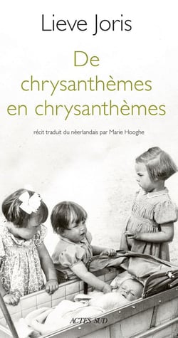 De chrysanthèmes en chrysanthèmes
