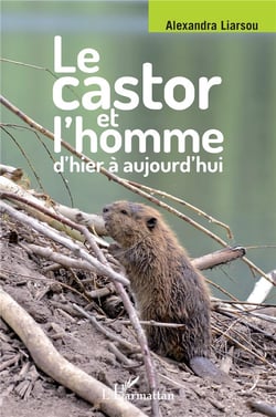 Castor et l'homme d'hier à aujourd'hui