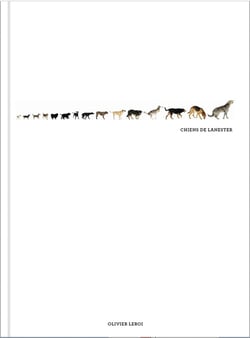 Chiens de lanester