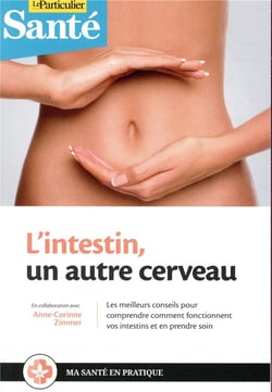 L'intestin, un autre cerveau - les meilleurs conseils pour comprendre comment fonctionnent vos intes