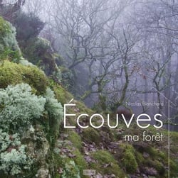 Ecouves, ma forêt