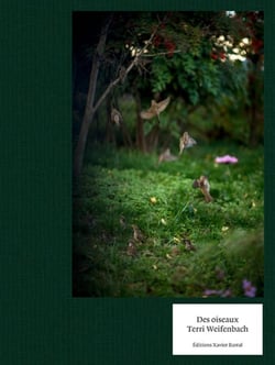 Des oiseaux