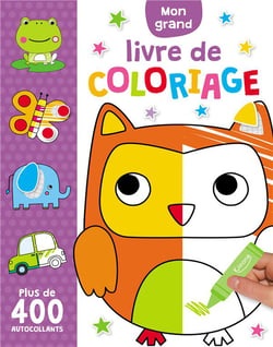Mon grand livre de coloriage - plus de 400 autocollants