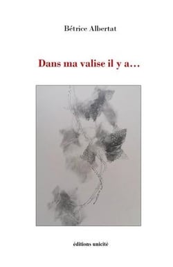 Dans ma valise il y a...