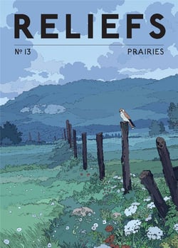 Reliefs n.13 : prairies