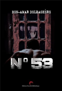 N  53