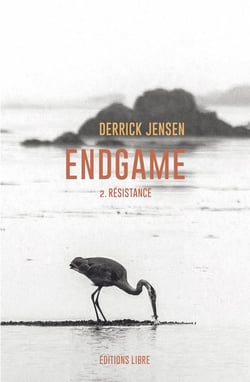 Endgame Tome 2 : Résistance