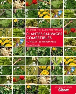 Plantes sauvages comestibles - 40 recettes originales