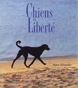 Chiens en liberte
