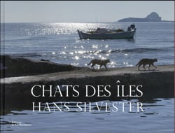 Chats des îles