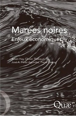 Marées noires - enjeux économiques