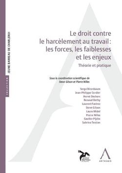 Le droit contre le harcèlement au travail : les forces, les faiblesses et les enjeux : Théorie et pratique