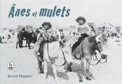 Ânes et mulets