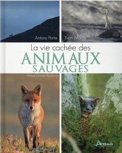 La vie cachée des animaux sauvages