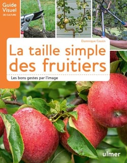 La taille simple des fruitiers - les bons gestes par l'image
