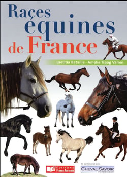 Races équines de France - chevaux, poneys et ânes
