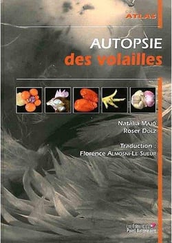 Autopsie des volailles