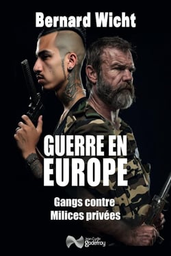 Guerre en Europe : Gangs contre milices privées