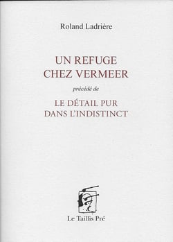 Un refuge chez Vermeer - le détail pur dans l'indistinct