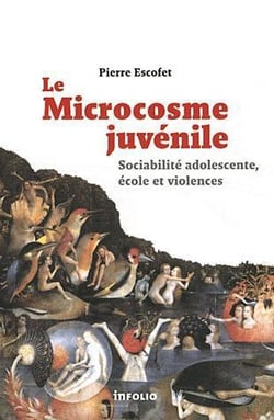 Le microcosmos juvénile - sociabilité adolescente