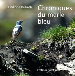 CHRONIQUES DU MERLE BLEU