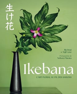 Ikebana : L'art floral au fil des saisons