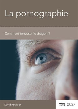 La pornographie - comment terrasser le dragon ?
