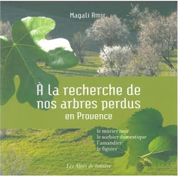À la recherche de nos arbres perdus en Provence