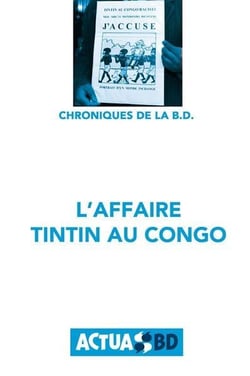 L'affaire tintin au congo