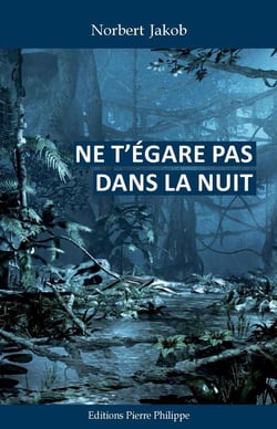 Ne t'égare pas dans le nuit