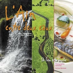 L'ain entre deux eaux