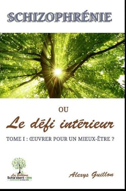 Schizophrénie ou le défi intérieur t.1 - oeuvrer pour un mieux-être ?