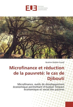 Microfinance et reduction de la pauvrete: le cas de djibouti