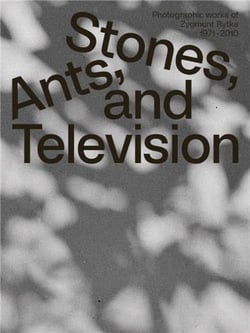 Zygmunt Rytka : Stones ants and television
