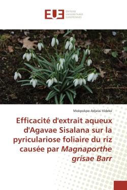 Efficacité d'extrait aqueux d'Agavae Sisalana sur la pyriculariose foliaire du riz