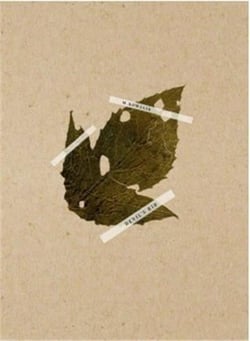 Mateusz Kowalik : Devil s rib