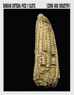 Damian Ortega : Corn and industry