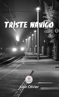 Triste navigo