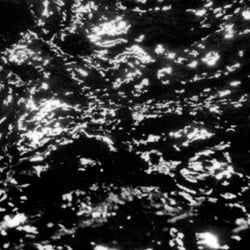 AIA: dream loss - Vinyle