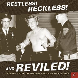 Restless ! reckless ! and reviled ! (Untamed youth, the original rebels of rock 'n' roll)