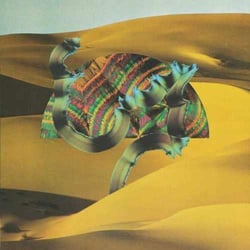 Django Django - Vinyle