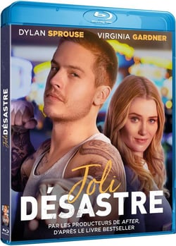 Joli désastre