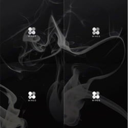 Vol. 2 - Wings