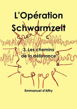 L'Opération Schwarmzeit  3. Les chemins de la délivrance