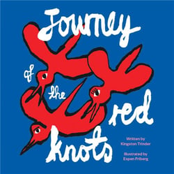 Journey of the red knots