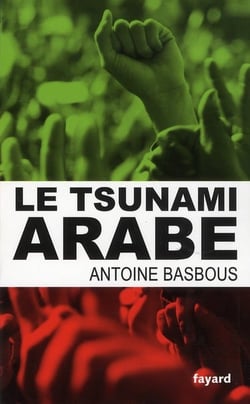 Le tsunami arabe