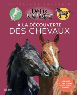 À la découverte des chevaux