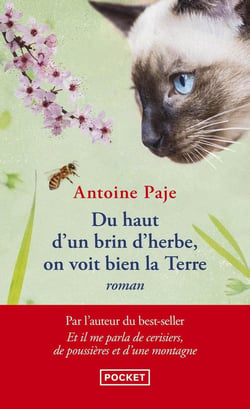 Du haut d'un brin d'herbe, on voit bien la Terre