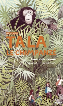 Tala, le chimpanzé : sur les traces